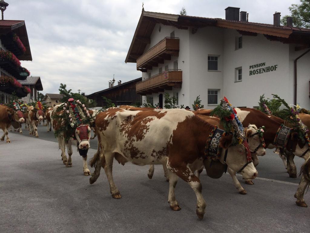 Pension Rosenhof Brixen im Thale Exterior photo